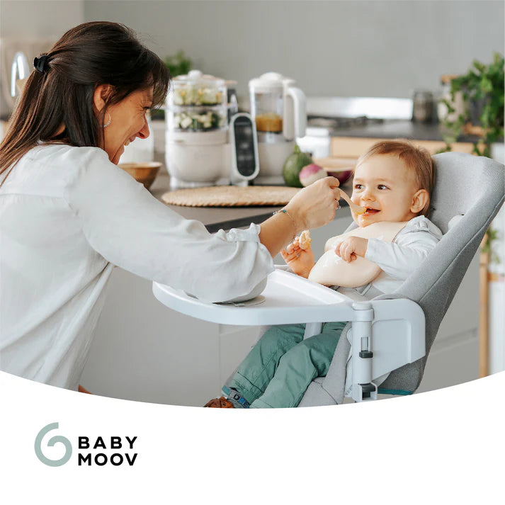 Babymoov Nutribaby+ Mineral Beige