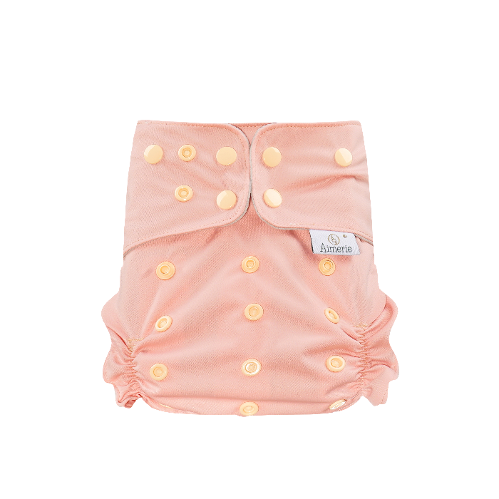 Aimerie Econo Cloth Diaper with Newborn Charcoal Insert