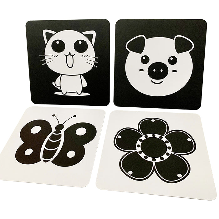 Blooming Wisdom Montessori High Contrast Visual Cards