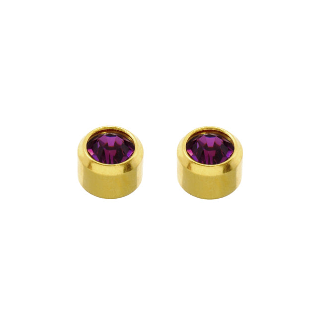 Caflon Sterile Earrings February Amethyst