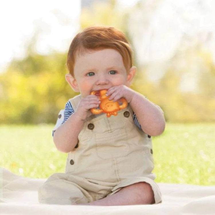 Infantino Garden Teething Pals