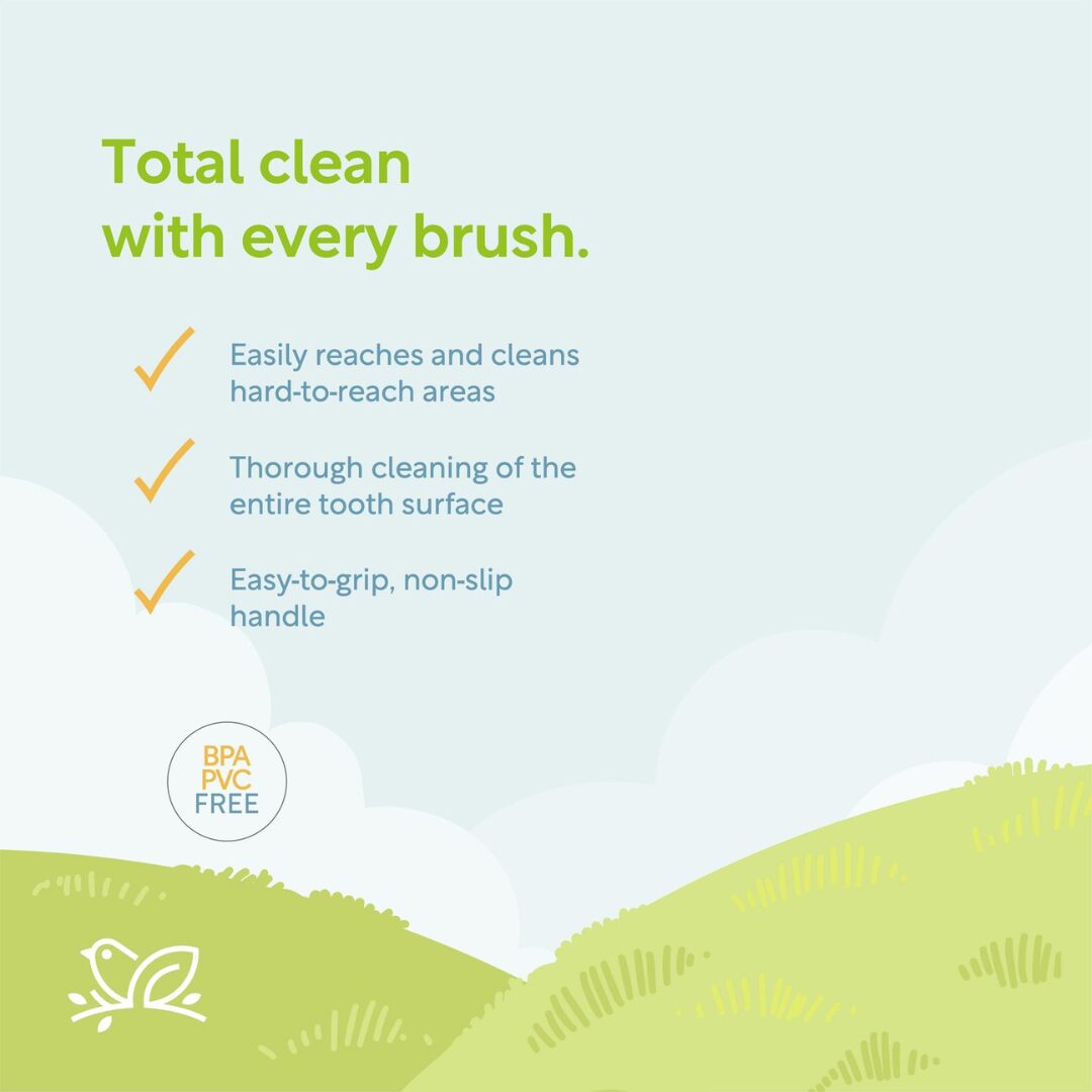 Nature To Nurture Tooth Explorers 3D Training Toothbrush (2 Yrs and Up) - Blue