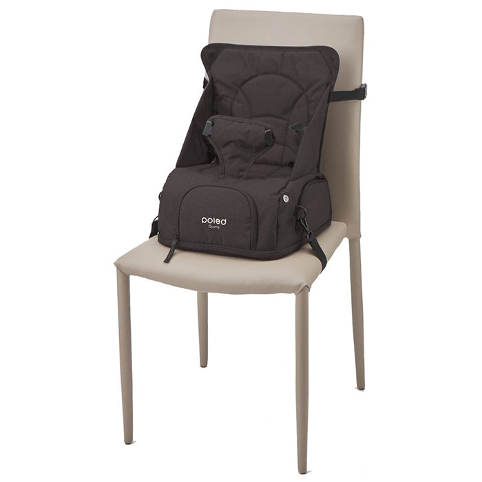 Poled Going Bear Bag - Charcoal