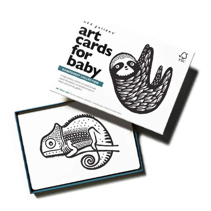 Wee Gallery Art Cards For Baby - Rainforest Collection
