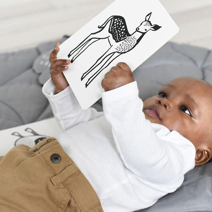 Wee Gallery Art Cards For Baby - Rainforest Collection