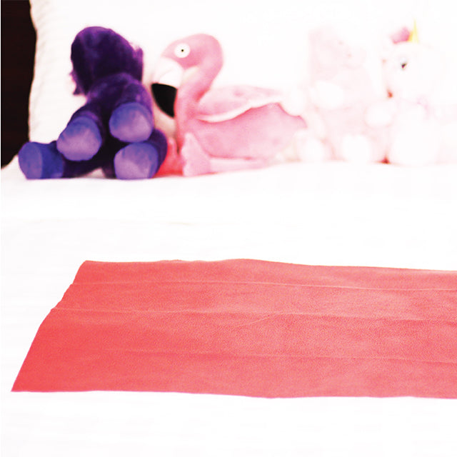 Little Totts Quick Dry Mat- Holly Berry