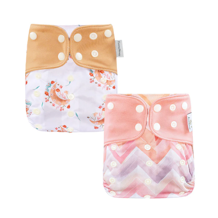 Aimerie Special Cloth Diaper with Newborn Charcoal Insert 2pcs