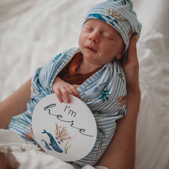 Snuggle Hunny Reversible Milestone Cards - Whale and Azure